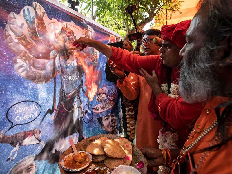 Geger! Umat Hindu India ‘Pesta’ Minum Urin Sapi Tangkal Corona, Ini Foto & Videonya 3
