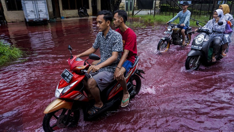 Banjir Rendam 20 Kelurahan Pekalongan, Ada yang Berwarna Merah 1