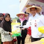 Pj Bupati Tangerang Andi Ony Antusias Panen Raya Padi Bersama Petani Sukadiri